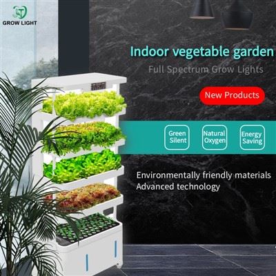 Hydroponic Home Garden System