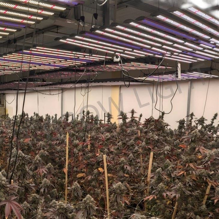 adjustable spectrum led grow lights